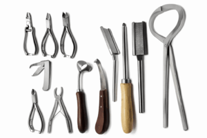 Veterinary Products Wholesale Vendors in Taxas City: B2B Supply Chain Opportunities
