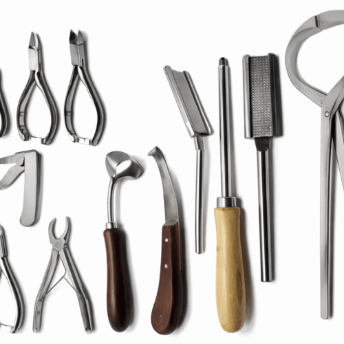 Veterinary Products Wholesale Vendors in New York City: B2B Supply Chain Opportunities