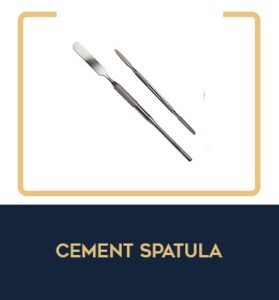 WhatsApp Image 2026-03-05 at 9.49.52 PM